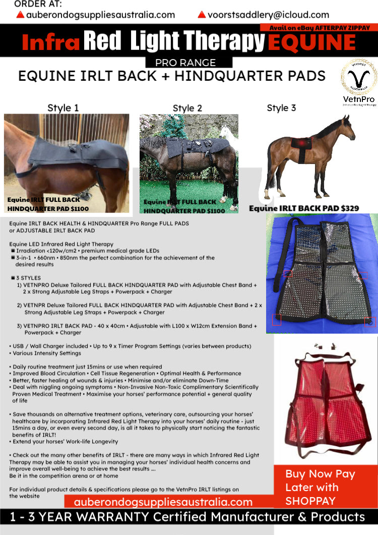 Buy Horse Blanket Leg Straps - Replacement Set at Ubuy Malaysia