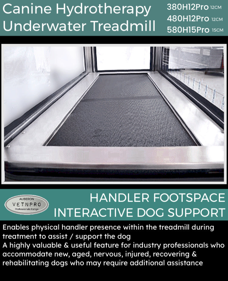 Underwater Hydrotherapy Treadmill 3HP VPER480H12 w/ Entry Ramp + interactive HANDLER Assist Pro Clinic Commercial earning potential