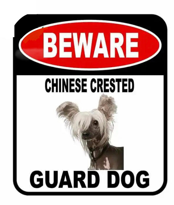 Chinese Crested Dog Tin Sign Home Kennel Office Decor Gift Present CC Lovers