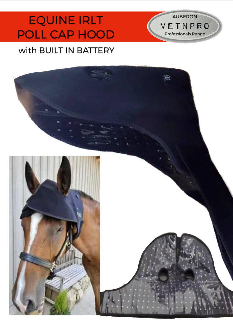 NEW Equine Infrared IRLT Poll Cap Hood Wrap **Built in Battery** Use anywhere anytime