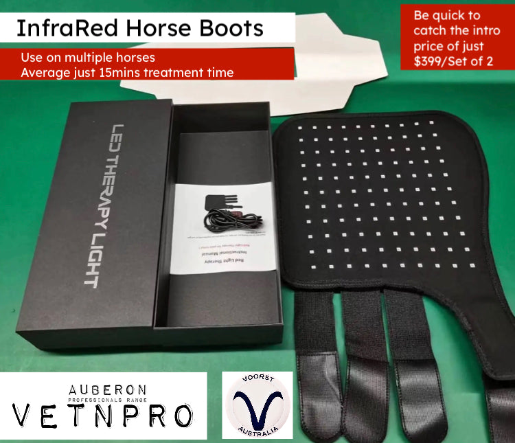 ✴️Equine Infrared RTL PRO RANGE Package Deal: 4 x Horse Boots + 4 x HOOF Boots + 1 x Poll Cap Neck Wrap High Quality Equine IRLT Medical Grade