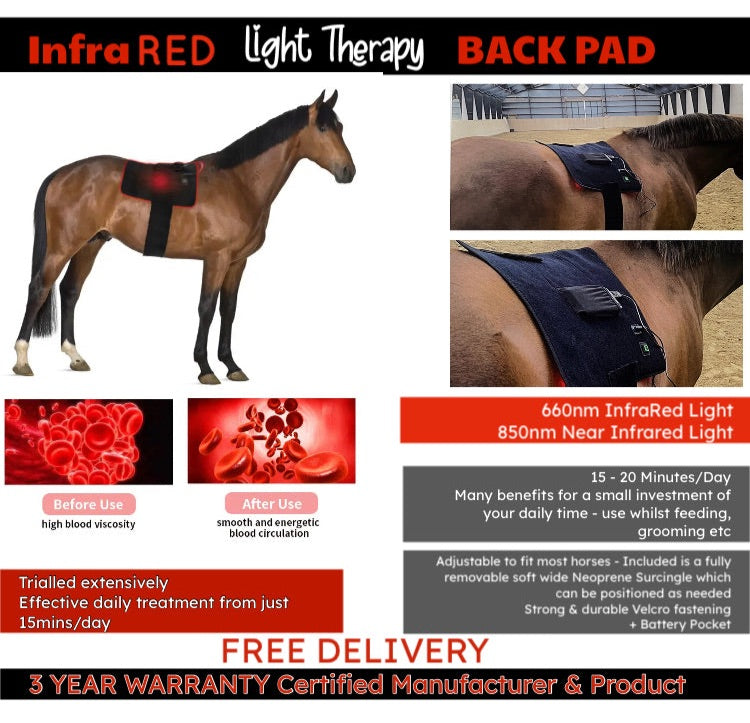 Equine/other multipurpose•Infrared Red Light Therapy BACK PAD / suits most body parts ~ with removable adjustable Neoprene Surcingle & Set of Connector Straps