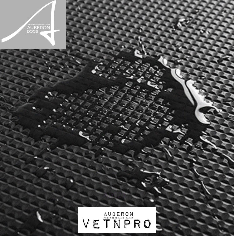 Auberon VetnPro SuperLo Electric Lift Dog grooming table just 30cm at lowest height handsfree smooth foot pedal control