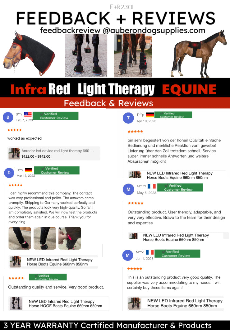 Infrared horse outlet boots