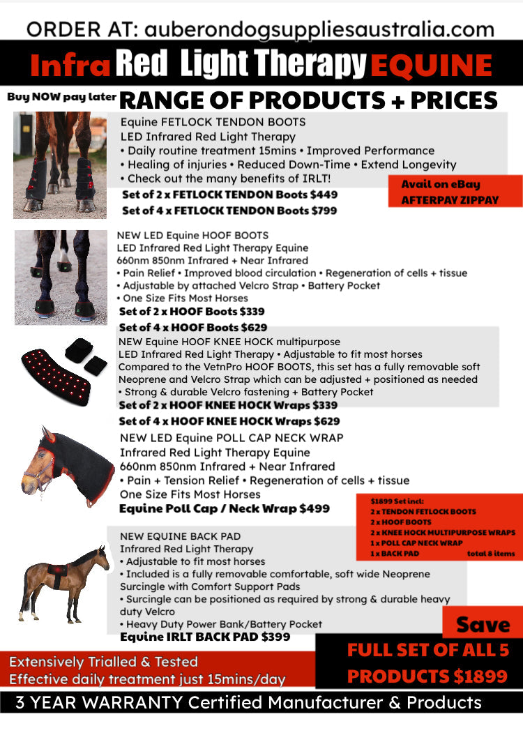 Infrared boots hot sale for horses