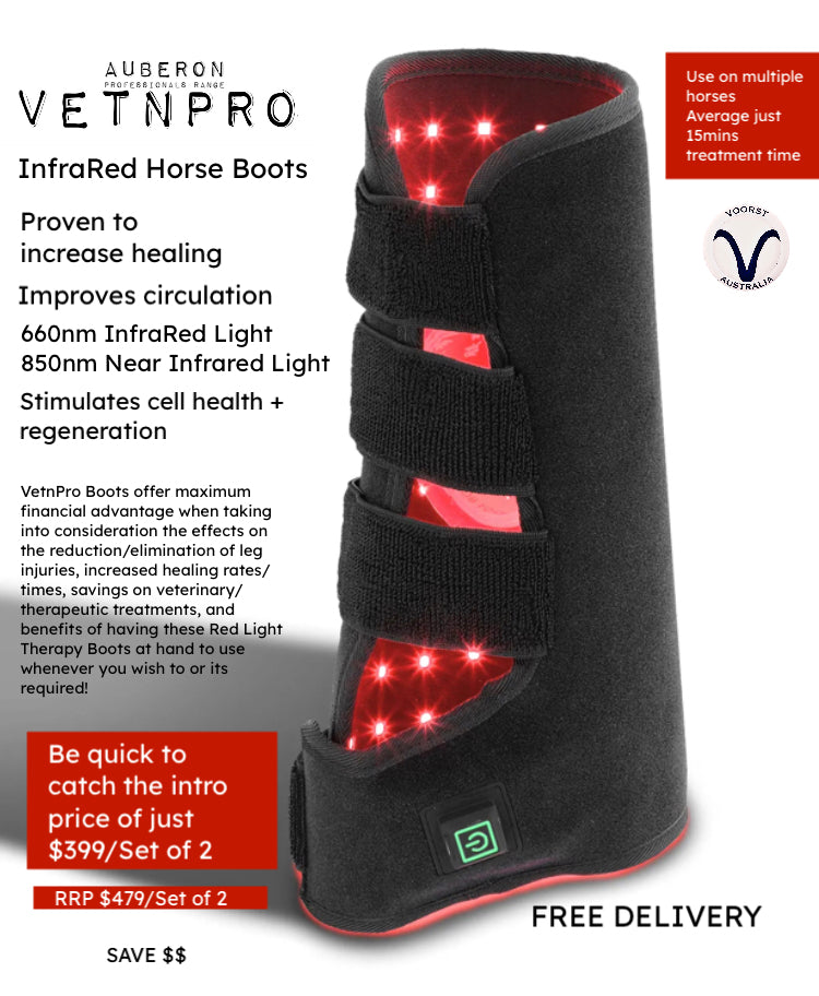 ✴️Equine Infrared RTL PRO RANGE Package Deal: 4 x Horse Boots + 4 x HOOF Boots + 1 x Poll Cap Neck Wrap High Quality Equine IRLT Medical Grade