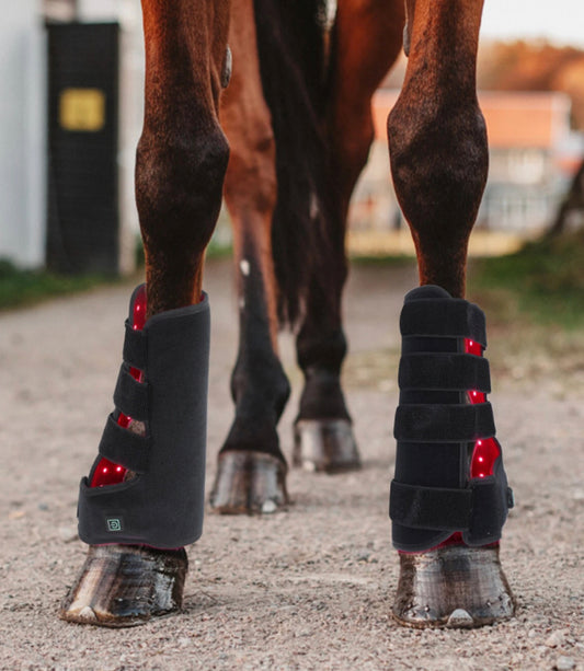 Equine Infrared Red Light Therapy HORSE FETLOCK TENDON BOOTS BUILT IN BATTERY WIRELESS CE Cert 110LED 660nm 850nm