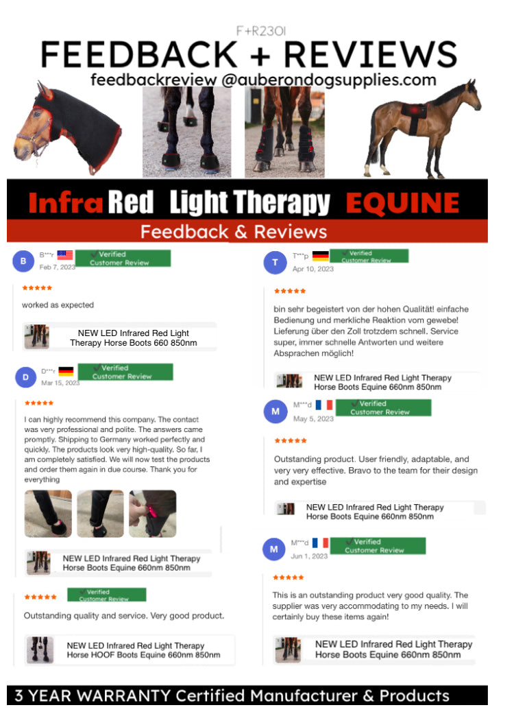 Equine Infrared Red Light Therapy Solarium