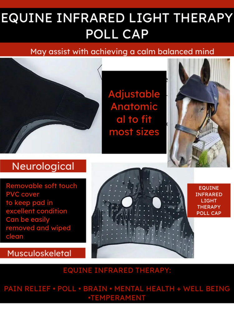 NEW Equine Infrared IRLT Poll Cap Hood Wrap **Built in Battery** Use anywhere anytime