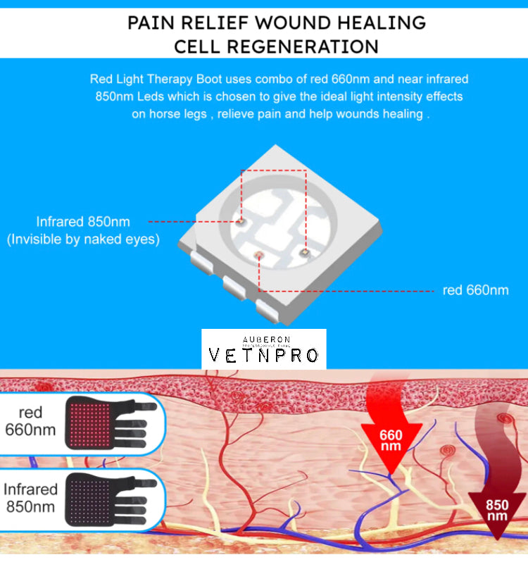 Equine Infrared Red Light Therapy HORSE FETLOCK TENDON BOOTS BUILT IN BATTERY WIRELESS CE Cert 110LED 660nm 850nm