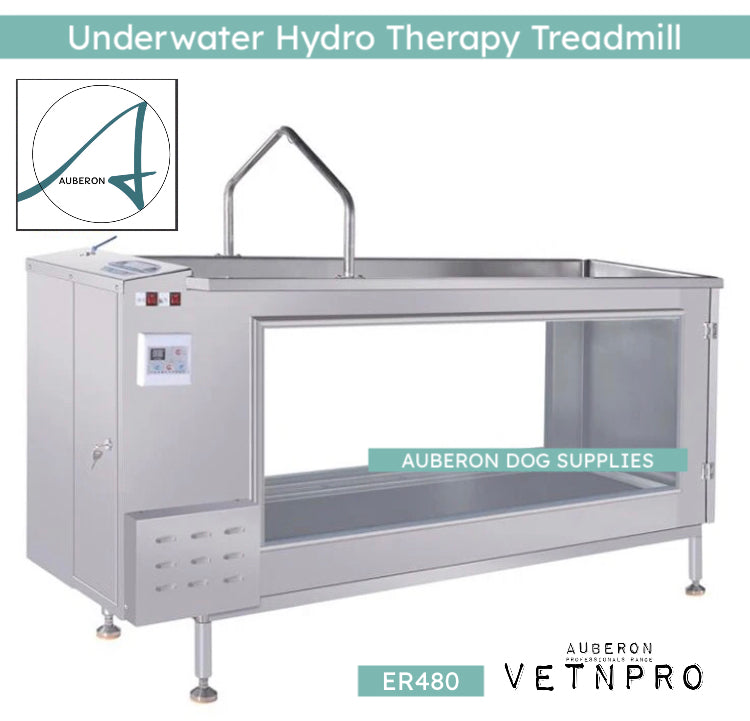 Underwater Hydrotherapy Treadmill 3HP VPER480H12 w/ Entry Ramp + interactive HANDLER Assist Pro Clinic Commercial earning potential