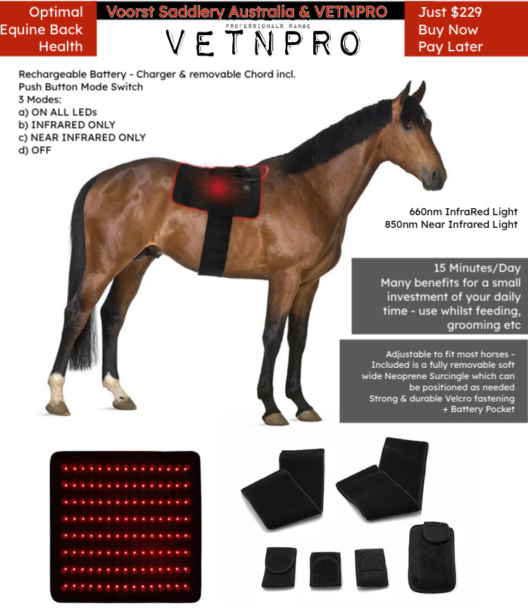 ✴️Equine Infrared RTL PRO RANGE Package Deal: 4 x Horse Boots + 4 x HOOF Boots + 1 x Poll Cap Neck Wrap High Quality Equine IRLT Medical Grade