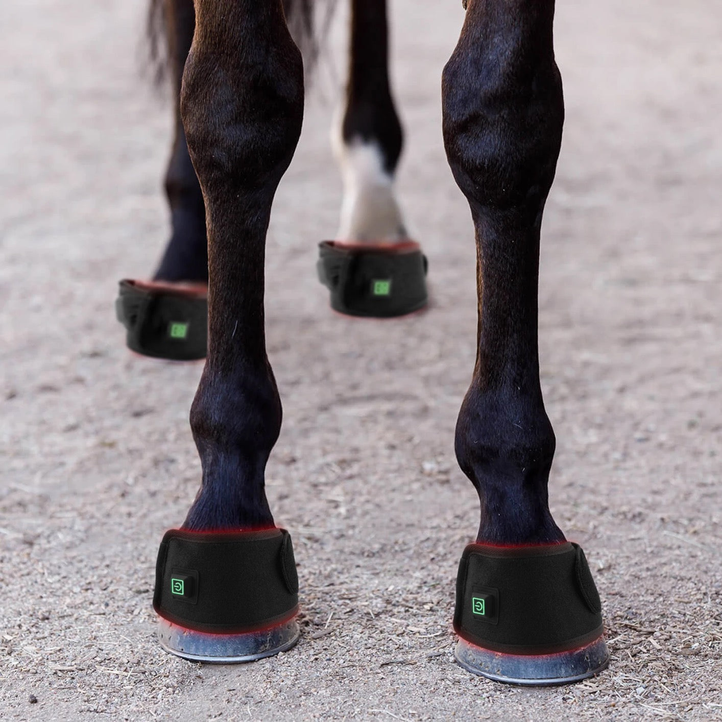 ✴️Equine Infrared RTL PRO RANGE Package Deal: 4 x Horse Boots + 4 x HOOF Boots + 1 x Poll Cap Neck Wrap High Quality Equine IRLT Medical Grade