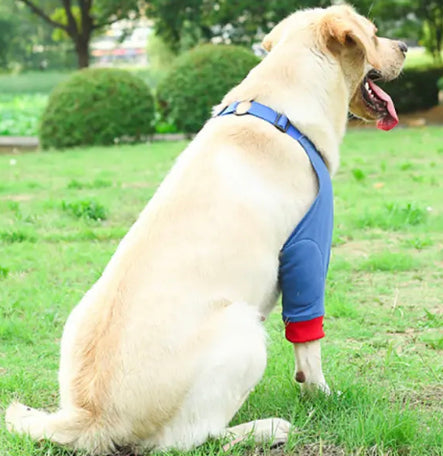 Padded elbow outlet sleeve for dogs