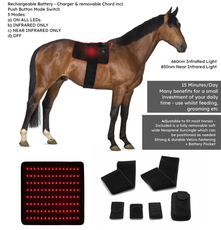 Equine/other multipurpose•Infrared Red Light Therapy BACK PAD / suits most body parts ~ with removable adjustable Neoprene Surcingle & Set of Connector Straps