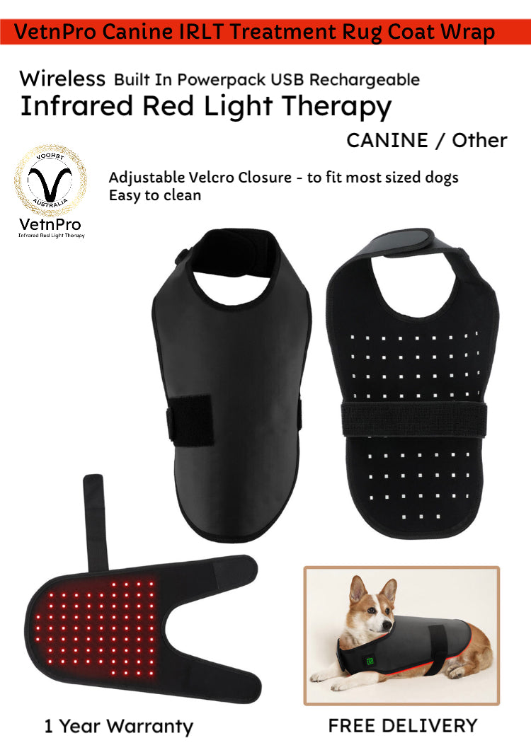 Dog coat store with led lights