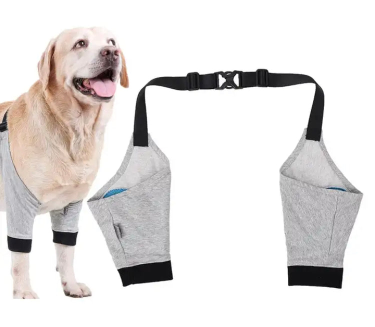 Dog padded shop elbow protectors