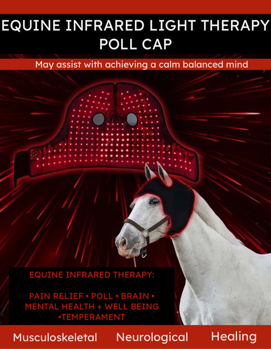 NEW Equine Infrared IRLT Poll Cap Hood Wrap **Built in Battery** Use anywhere anytime