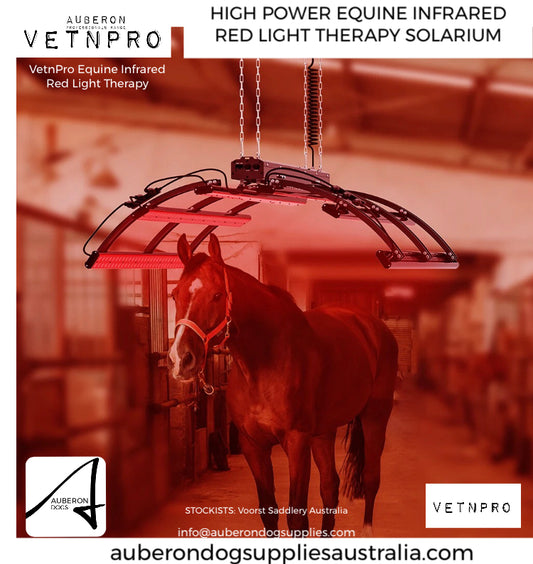 Equine Infrared Solarium Red Light Therapy Horses - Achieve health soundness & performance goals