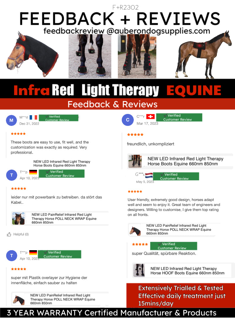 ✴️Equine Infrared RTL PRO RANGE Package Deal: 4 x Horse Boots + 4 x HOOF Boots + 1 x Poll Cap Neck Wrap High Quality Equine IRLT Medical Grade