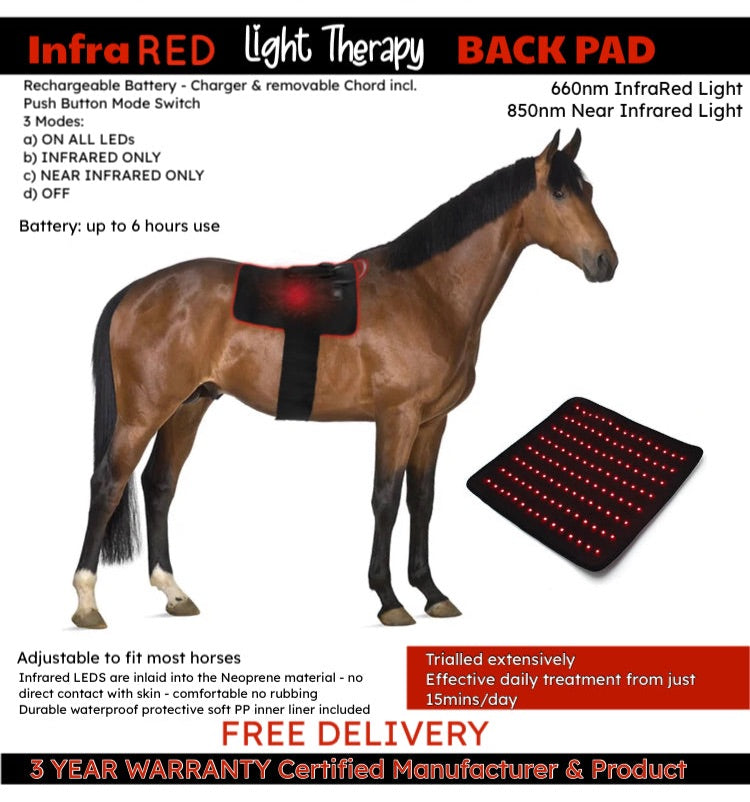 Equine/other multipurpose•Infrared Red Light Therapy BACK PAD / suits most body parts ~ with removable adjustable Neoprene Surcingle & Set of Connector Straps