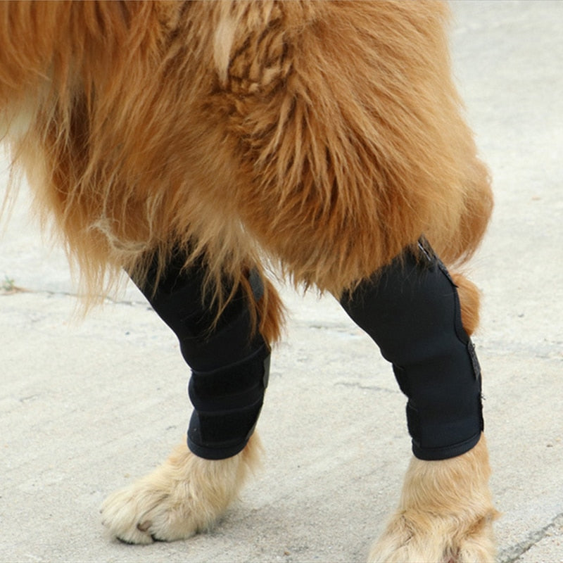 Dog Leg Hock Hind Leg Brace Joint Support Velcro Adjustable