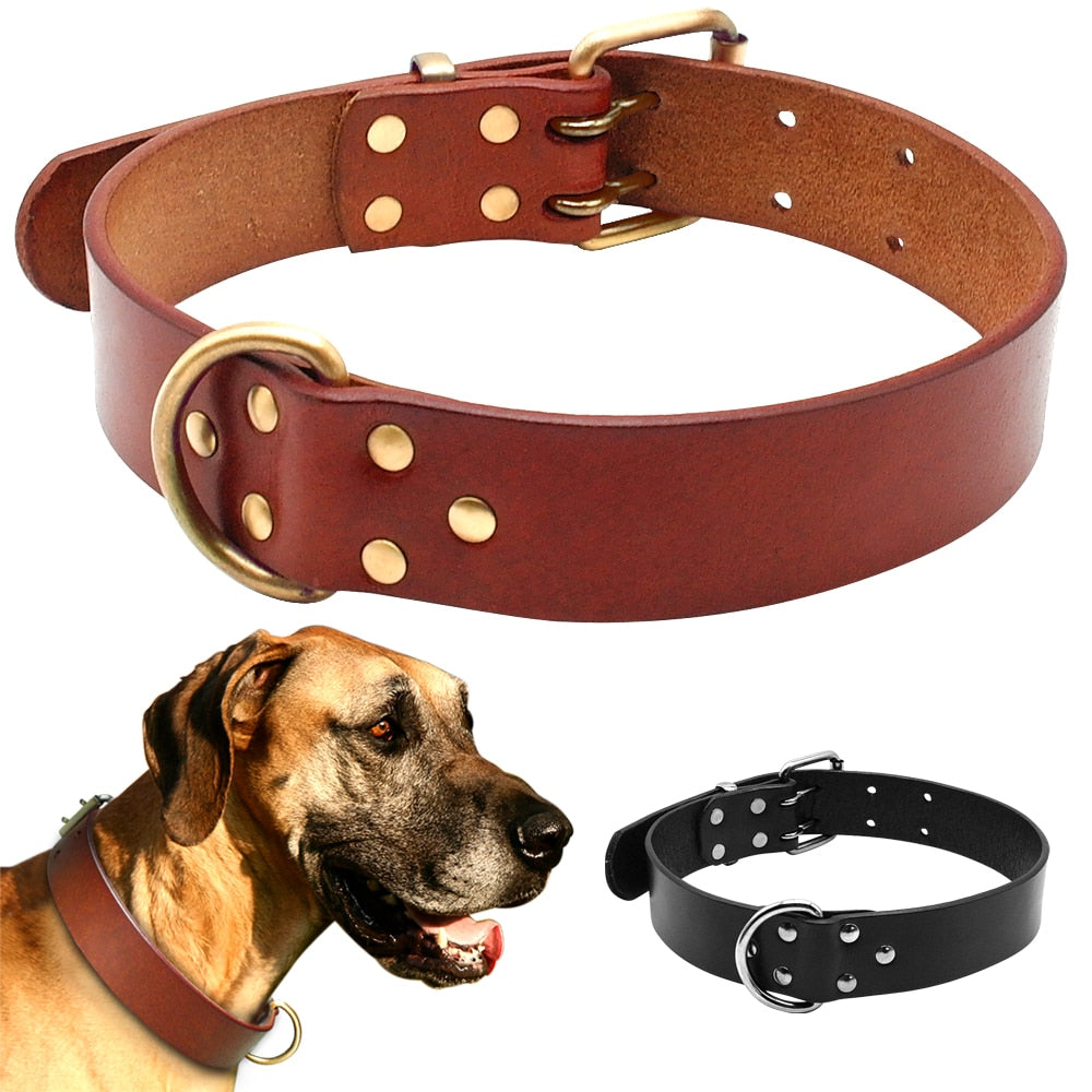 Genuine Leather Dog Collar with quality strong brass D-Ring and Buckle S/M/L/XL Brown & Black