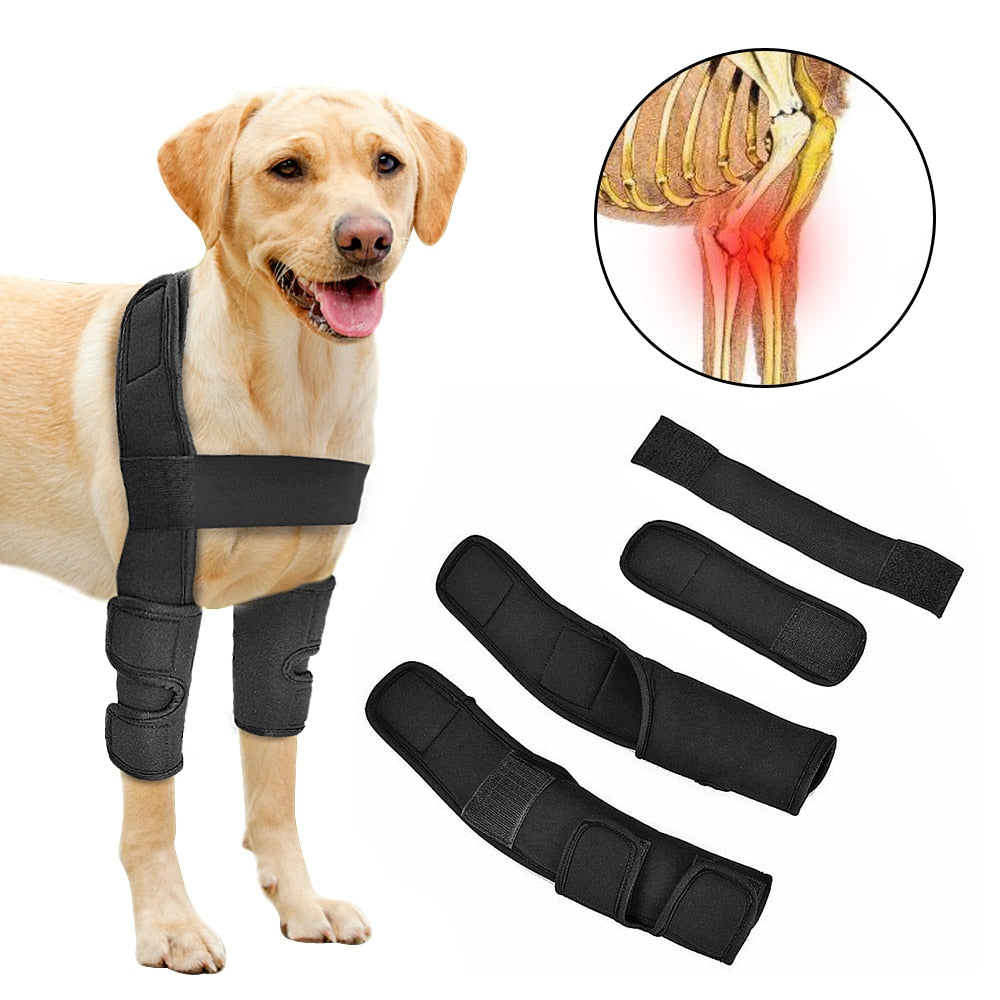 Canine Front Leg Elbow Joint Support