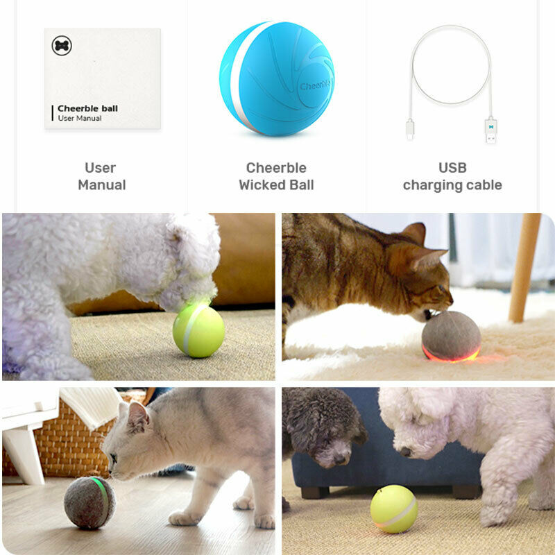 Dog activation ball online