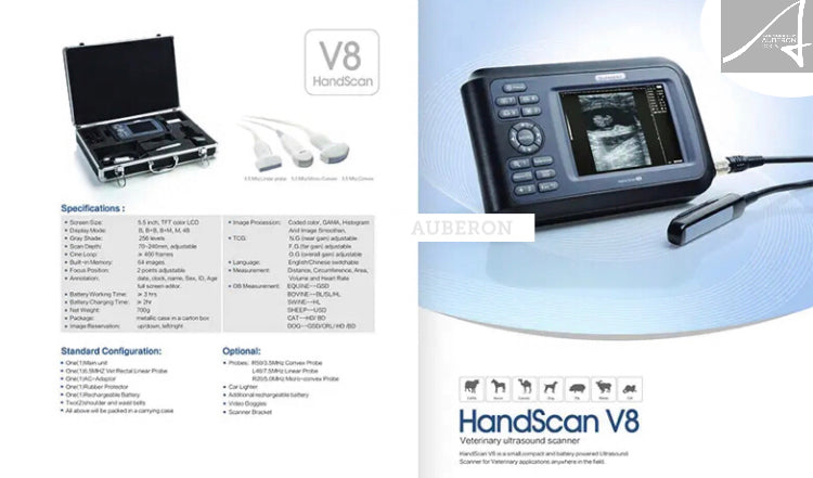 Handheld Veterinary Ultrasound Scanners | SIFULTRAS-4.2 | SIFSOF