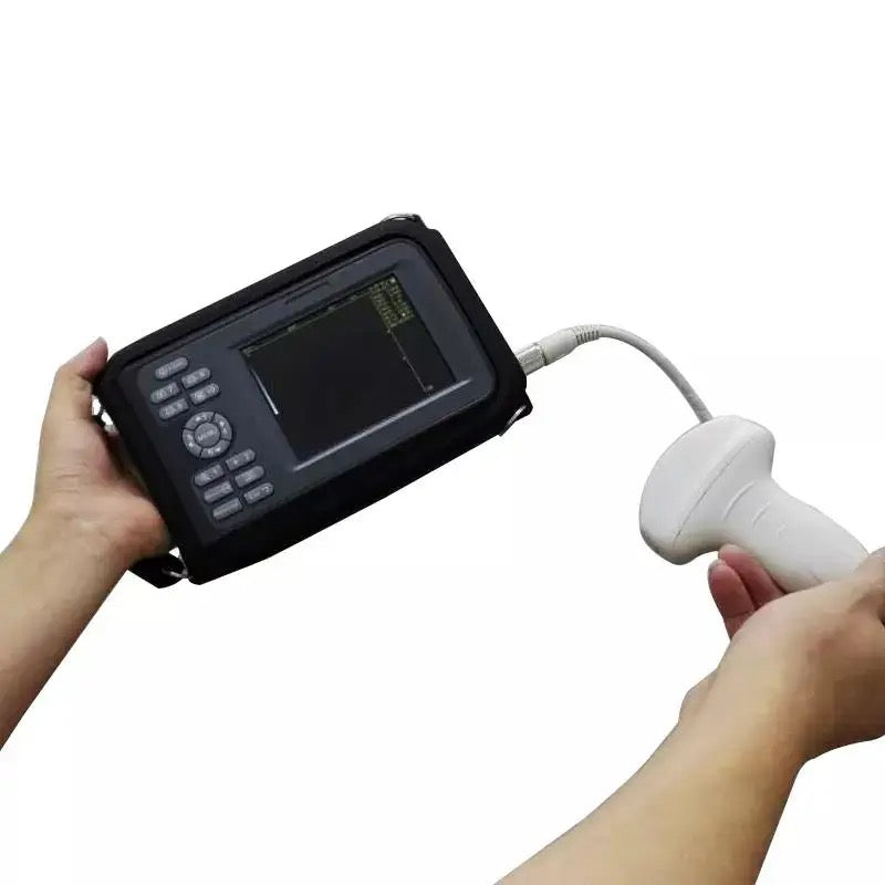 Handheld Veterinary Ultrasound Scanners | SIFULTRAS-4.2 | SIFSOF